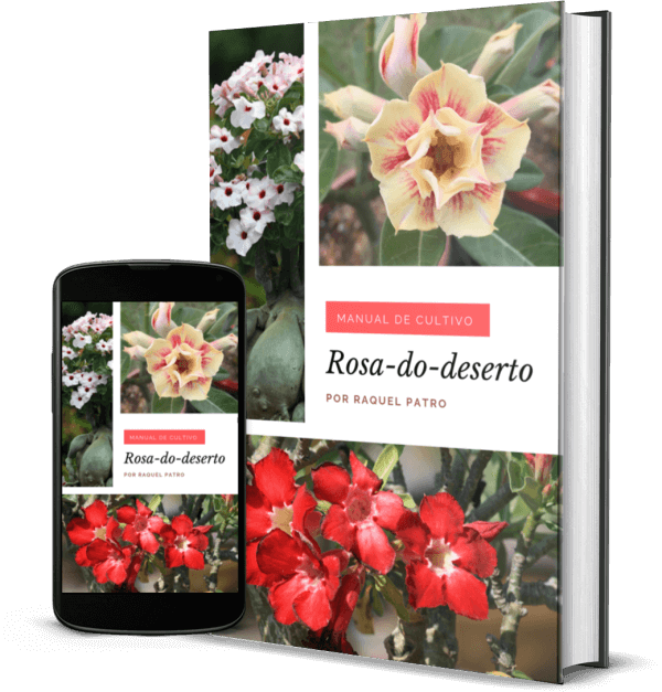 Livro Os Segredos De Cultivo Das Rosas Do Deserto Pdf E Book