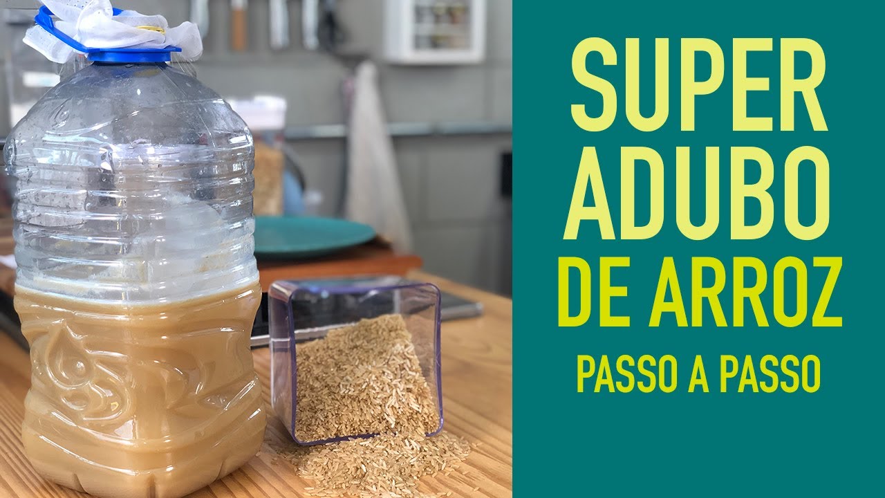 Descubra Como Fazer Adubo Caseiro Arroz Para Seu Jardim